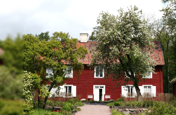Carl von Linn&eacute;s Hammarby