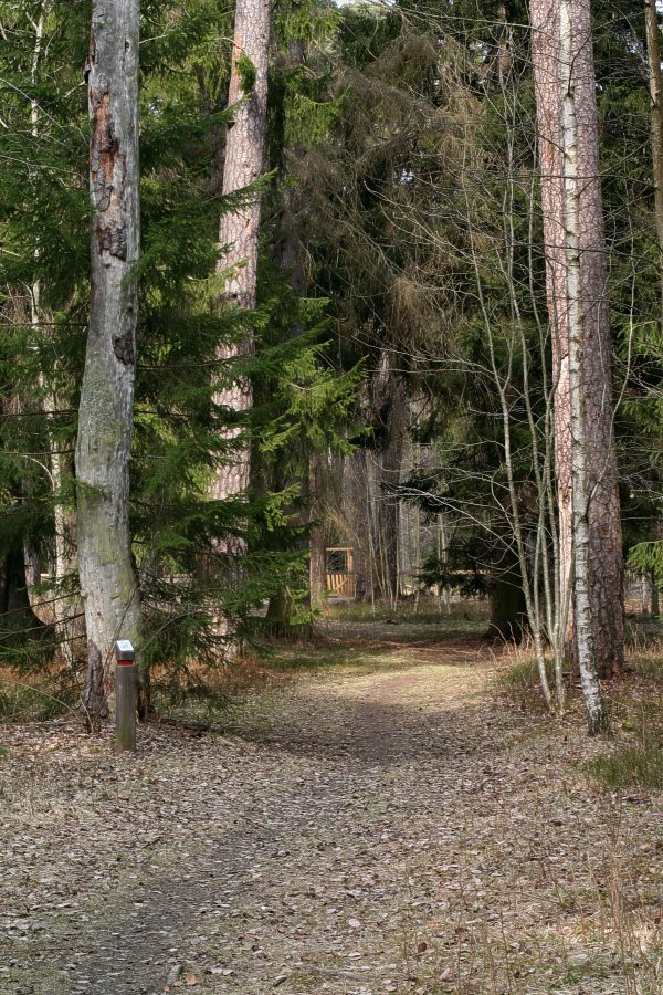 Stig i Kronparken